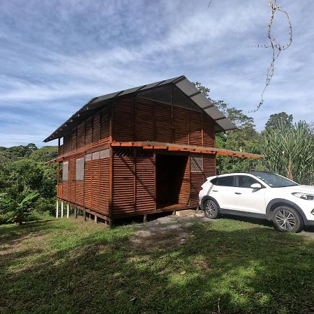 Eco Guest House - Sarapiqui 1 외부 사진